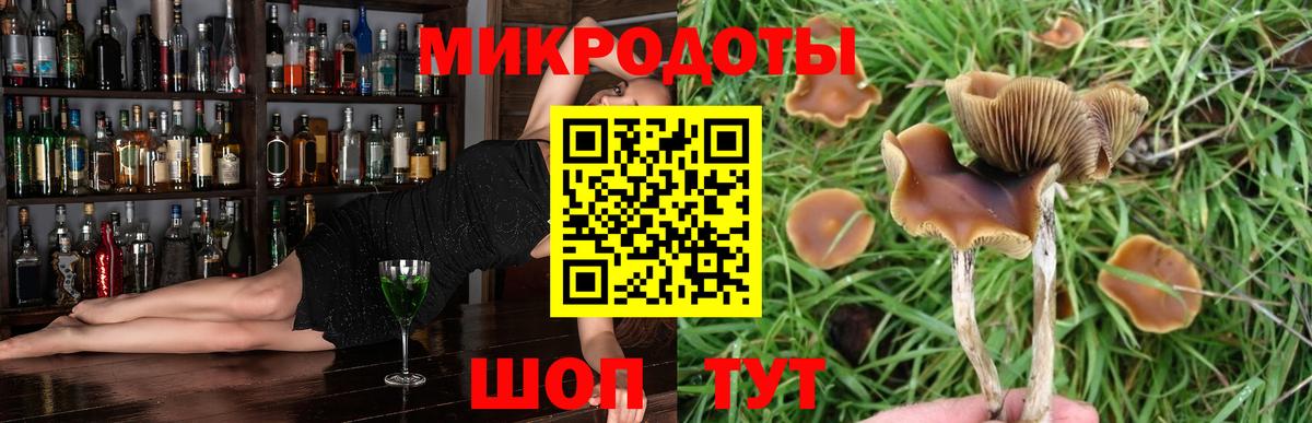 Галлюциногенные грибы MAGIC MUSHROOMS  Вход с VPN  наркота  Алексин 