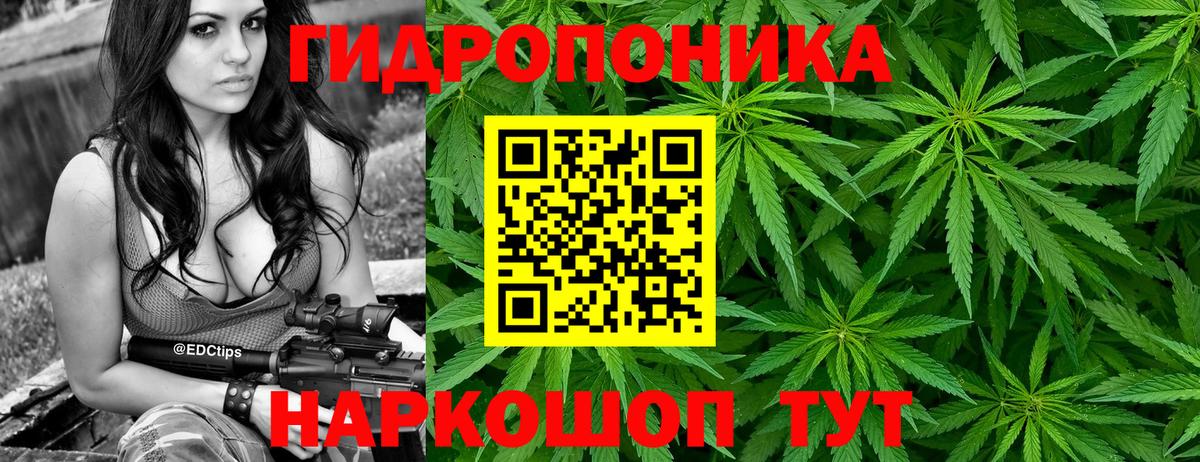 Каннабис индика  Вход с VPN  Алексин  Бошки Шишки THC 21%  Шишки марихуана Bruce Banner  Марихуана OG Kush 